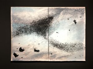 orL Murmuration (Nuée de livres)