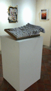 Installation réalisé pour l'exposition « Mise en boîtes » au musée de l'Abbaye Saint Germain à Auxerre